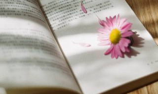 卯怎么读组词 卯怎么读组词是什么