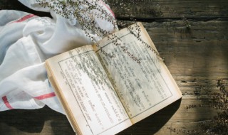 敞怎么组词（敞怎么组词组）