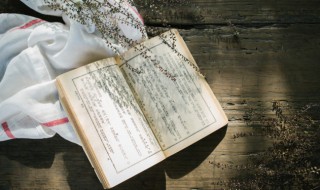 蜜蜂的蜂怎么组词 蜜蜂的蜂怎么组词和拼音