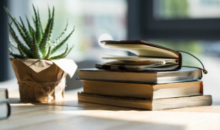 西游记1回概括（西游记15回概括）