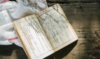 童年第六章概括（童年第六章概括100字）