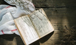 西游记第六十五回概括200字 西游记第六十五回梗概200字