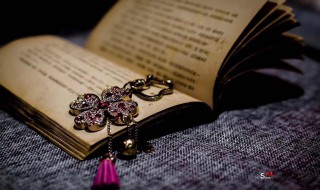 宋江事件概括（宋江事件概括200字）