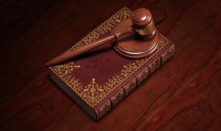 罗诉韦德案概括