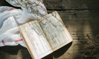 俗世奇人苏七块概括（俗世奇人苏七块概括100字）