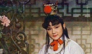 贾宝玉人物形象概括（贾宝玉人物形象概括100字）