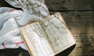 水浒传第四十一回概括300字 水浒传第三十一回概括400字