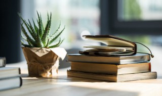 西游记错坠盘丝洞概括（西游记错坠盘丝洞概括100字）