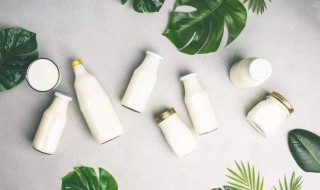 什么是乳酸菌（什么是乳酸菌素）