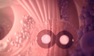 双胞胎是怎样形成的（长得一样的双胞胎是怎样形成的）