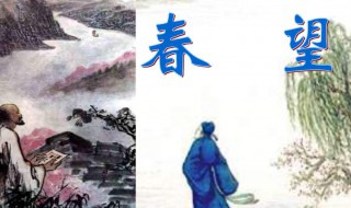 春望杜甫古诗（春望杜甫古诗文网）