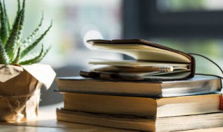 野望王绩古诗（野望王绩古诗文网）