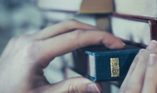 旋转木马的含义（旋转木马象征什么）