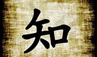 汉字来历的资料 汉字来历的资料20字