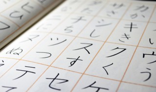 suki日语是什么意思（日语suki啥意思）