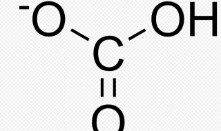 碳酸氢钠是酸性还是碱性 碳酸钠是酸性还是碱性