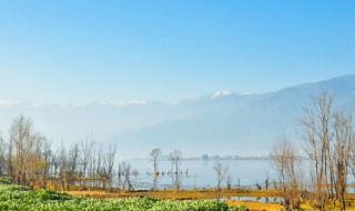 《使至塞上》王维古诗（王维的诗《使至塞上》）