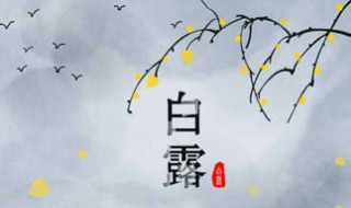 白露时节的诗词 白露时节的诗词美文