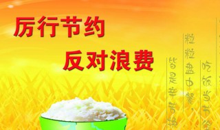 向舌尖上的浪费说不手抄报内容 关于舌尖上的浪费的手抄报内容
