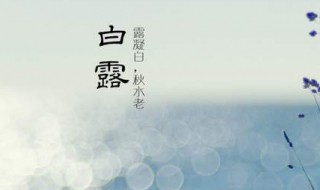 白露名句 《白露》中的优美句子