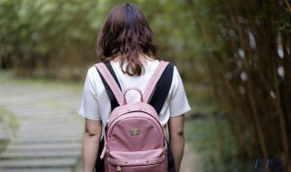 适合女生的大学专业（适合女生的大学专业文科）