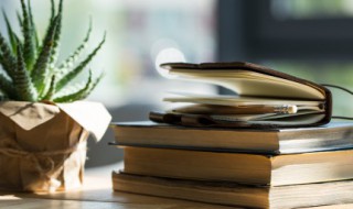 读后感开头唯美句子 读后感开头唯美句子鲁滨逊漂流记