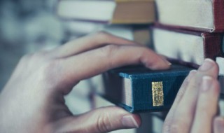 表达真诚感谢的成语（表示真诚感谢的词语）