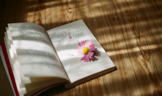 关于美的经典语录（关于美的感悟经典语录）