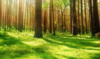 写夏天的美句 写夏天的美句简短