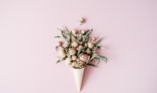 写花的美句 写花的美好句子