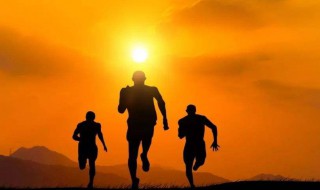 关于坚持的句子美句 关于坚持的优美句子20句