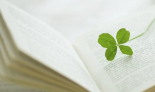 古风励志哲理句子 古风励志哲理句子摘抄