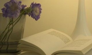 比较励志又唯美的句子 比较励志又唯美的句子有出处