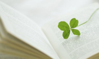 关于阳光的励志句子 关于阳光的励志句子说说心情