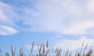 天空唯美句子简短（天空唯美句子简短短句）