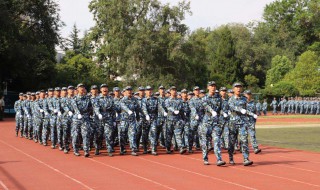 军训步伐训练总结范文 军训训练总结500字左右