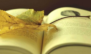 小王子美句英文 小王子美句英文版