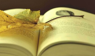 小王子英文版名句 小王子英文版名句摘抄加翻译