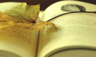 爱丽丝梦游仙境英文美句 爱丽丝梦游仙境英文美句摘抄