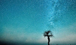 30句优美的英语句子 20句优美的英语句子