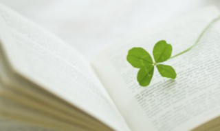 文案短句干净可爱 文案短句干净治愈温柔可爱