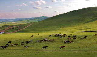 赞美草原的诗句 赞美草原的诗句六年级