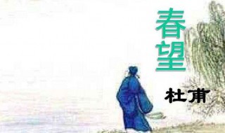 春望古诗（春望古诗拼音版）