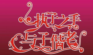 执子之手与子偕老解释（执子之手与子偕老解释一下）