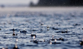 带有雨字的诗句（两句连续带有雨字的诗句）