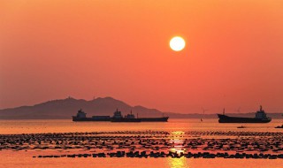 关于夕阳的诗句（小学关于夕阳的诗句）