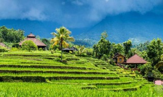 描写田园风光的诗句（书湖阴先生壁中描写田园风光的诗句）