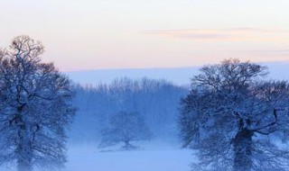 形容冬天冷的句子 形容冬天冷的句子或词语