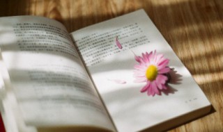 学习名言警句励志（学习名言警句 励志）