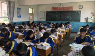 朝花夕拾的读后感 朝花夕拾的读后感600字左右